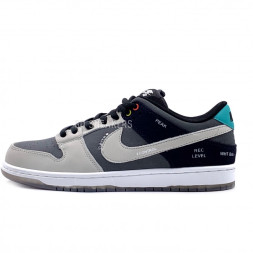 Nike Dunk Low VX1000