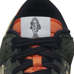 Nike Dunk Low Rainbow Trout